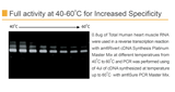 amfiRivert cDNA Synthesis Platinum Master Mix