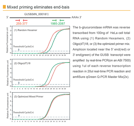 amfiRivert cDNA Synthesis Platinum Master Mix