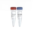 HiScript II Reverse Transcriptase (Glycerol-free) RL201