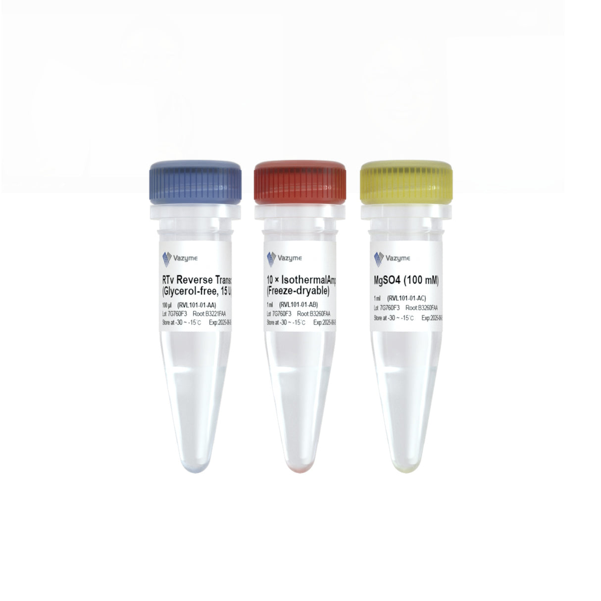 RTv Reverse Transcriptase (Glycerol-free) RVL101