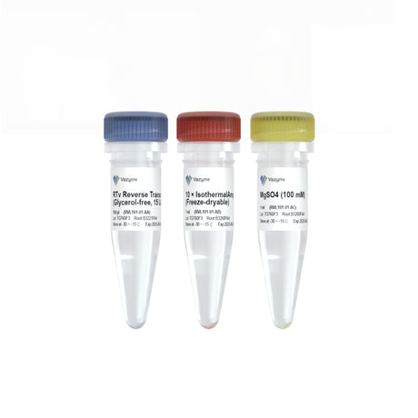 RTv Reverse Transcriptase (Glycerol-free) RVL101