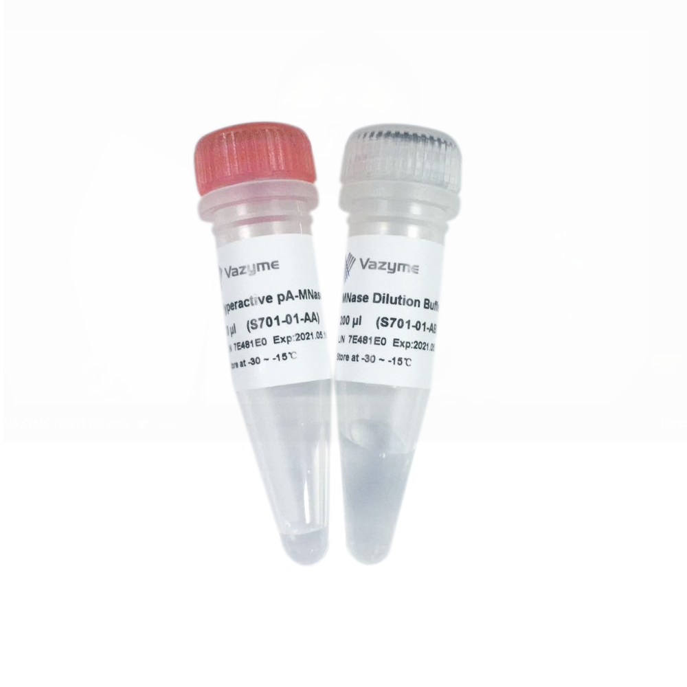 Hyperactive pA-MNase for CUT&RUN S701
