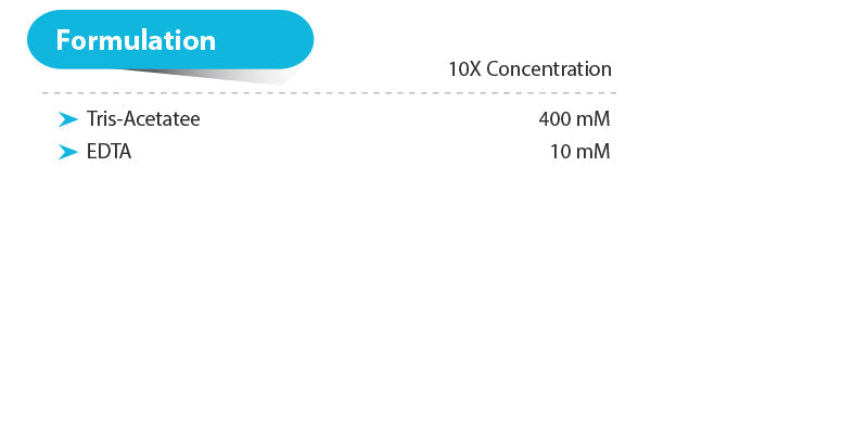 10X TAE Buffer