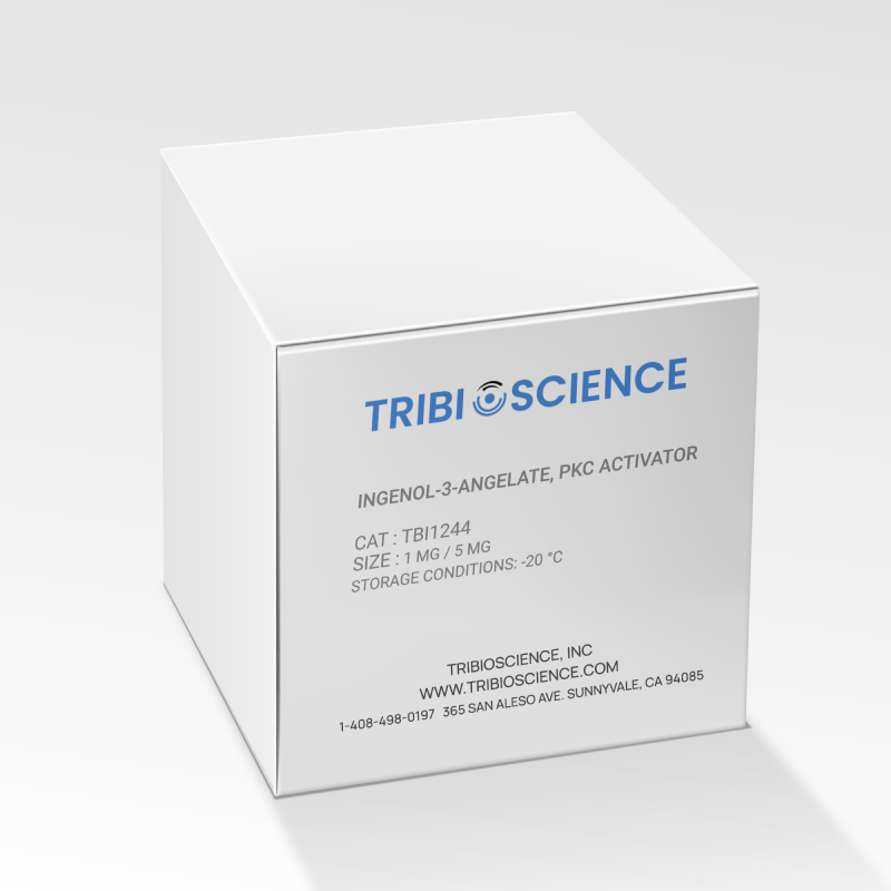 Ingenol-3-angelate, PKC activator (TBI1244)