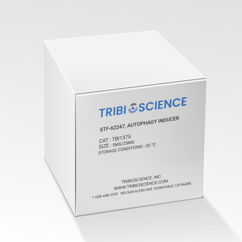 STF-62247, Autophagy inducer (TBI1375)