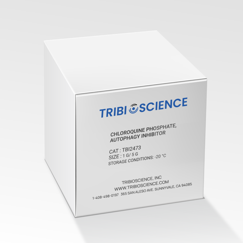 Chloroquine phosphate, Autophagy inhibitor (TBI2473)