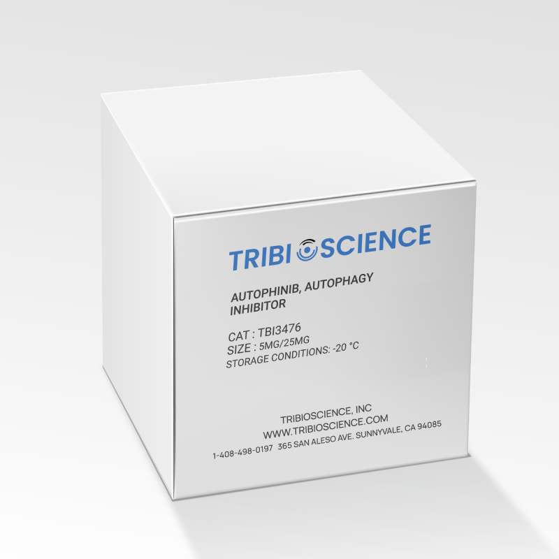 Autophinib, Autophagy inhibitor (TBI3476)