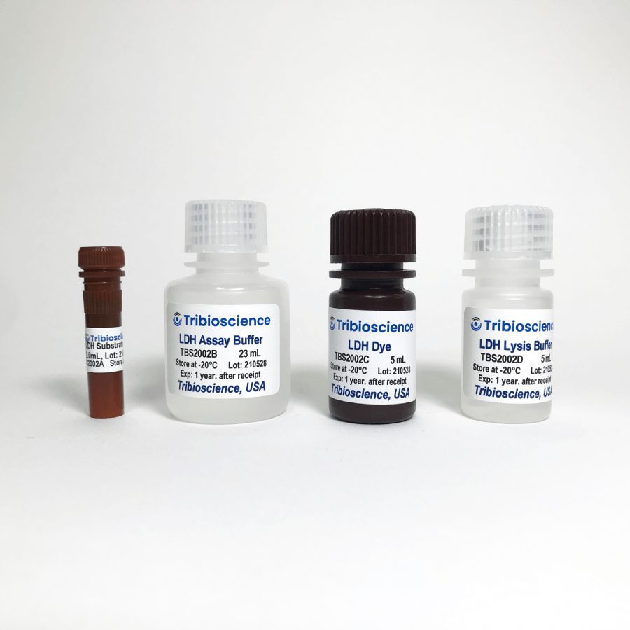LDH Cytotoxicity Assay (TBS2002)