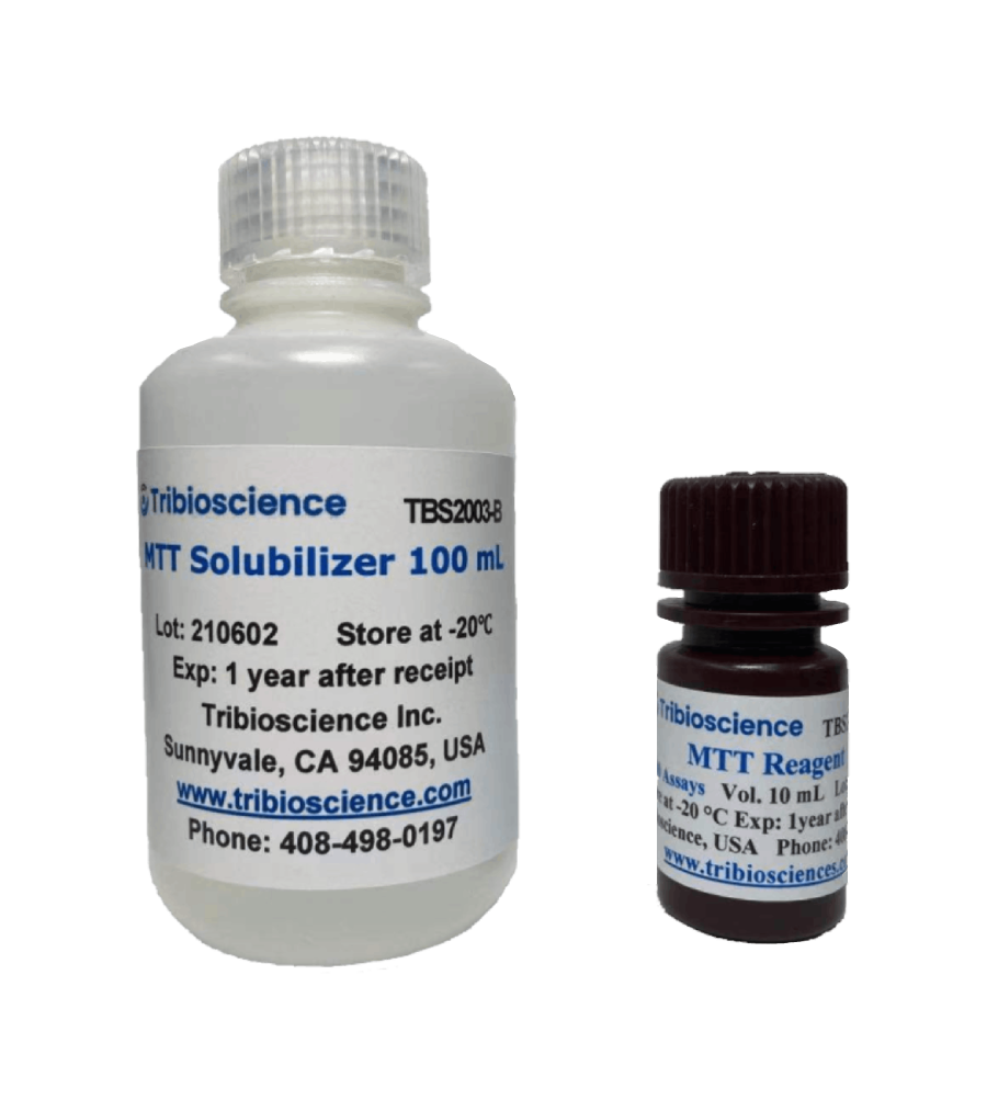 MTT Cell Viability Assay
