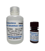MTT Cell Viability Assay