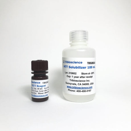 MTT Cell Viability Assay