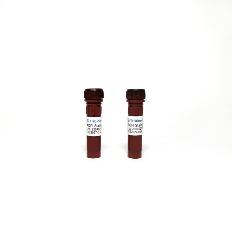Acridine Orange-Propidium Iodide (AO-PI) Stain (TBS2027)