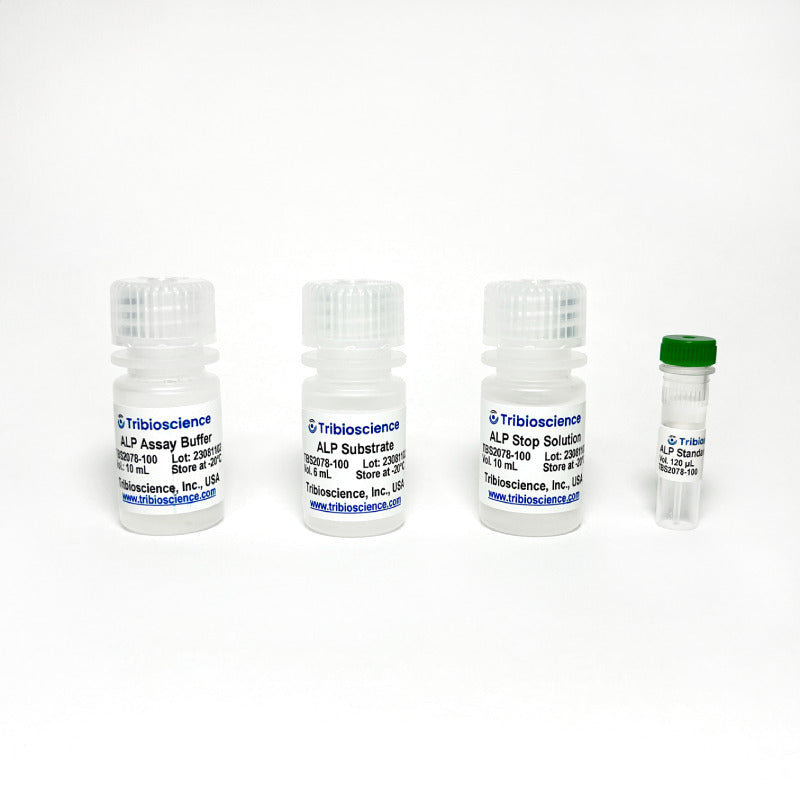Alkaline Phosphatase Activity Fluorometric Assay (TBS2078)