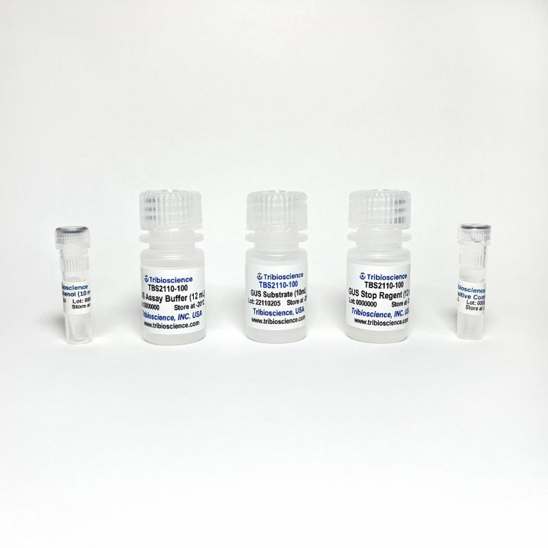 β-Glucuronidase Assay (TBS2110)
