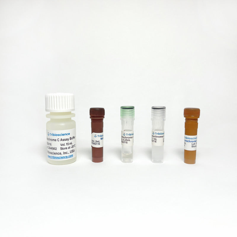 Cytochrome C Reductase Activity Assay