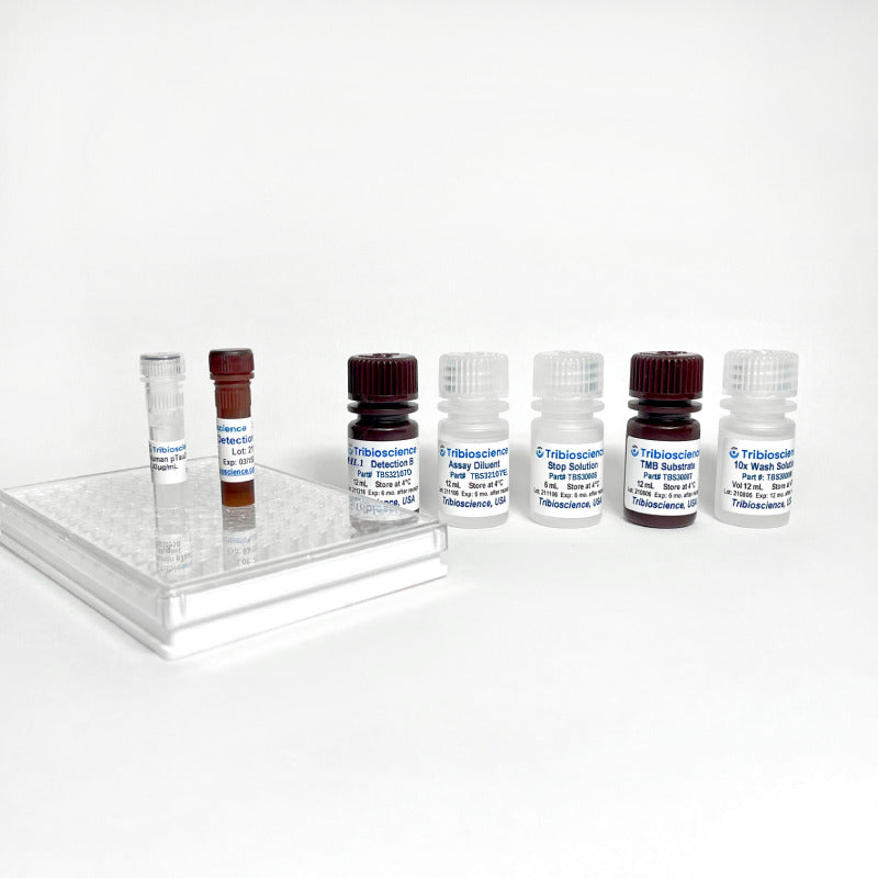 Human UCHL1/PGP9.5 ELISA (TBS32107)