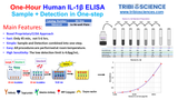 Human IL-1 ß; ELISA; 1 step and 1hr