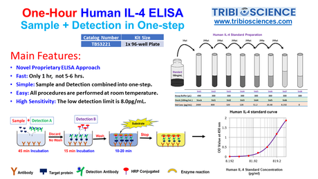 Human IL-4 ELISA; 1 step and 1hr