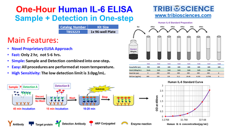 Human IL-6 ELISA; 1 step and 1hr