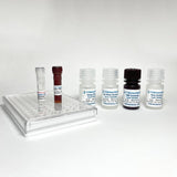 Tribo™ Human IFN γ ELISA Kit