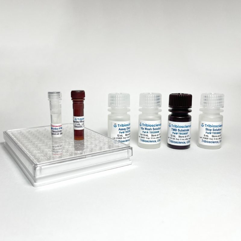 Fast Monkey IFN-γ ELISA