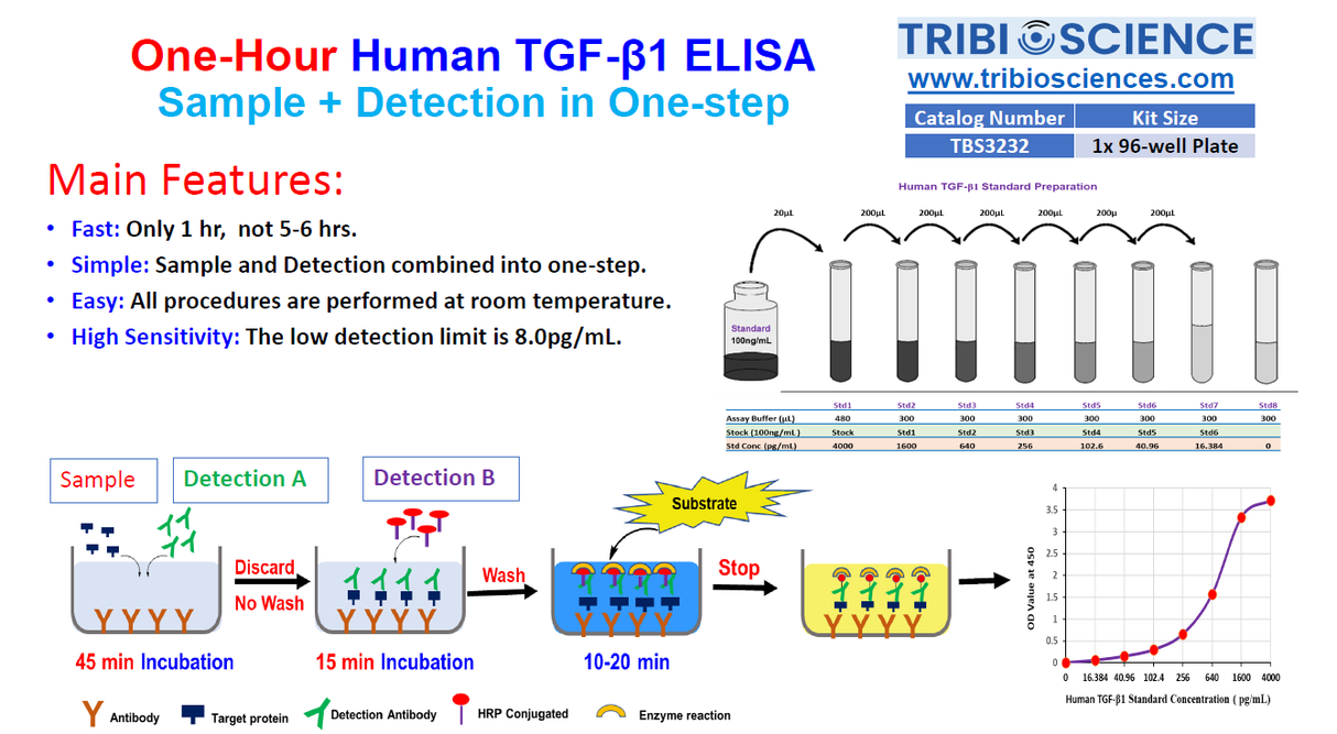 Fast Human TGF-β1 ELISA