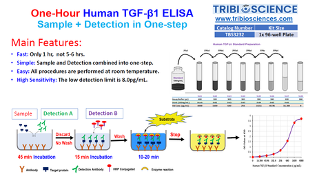 Fast Human TGF-β1 ELISA