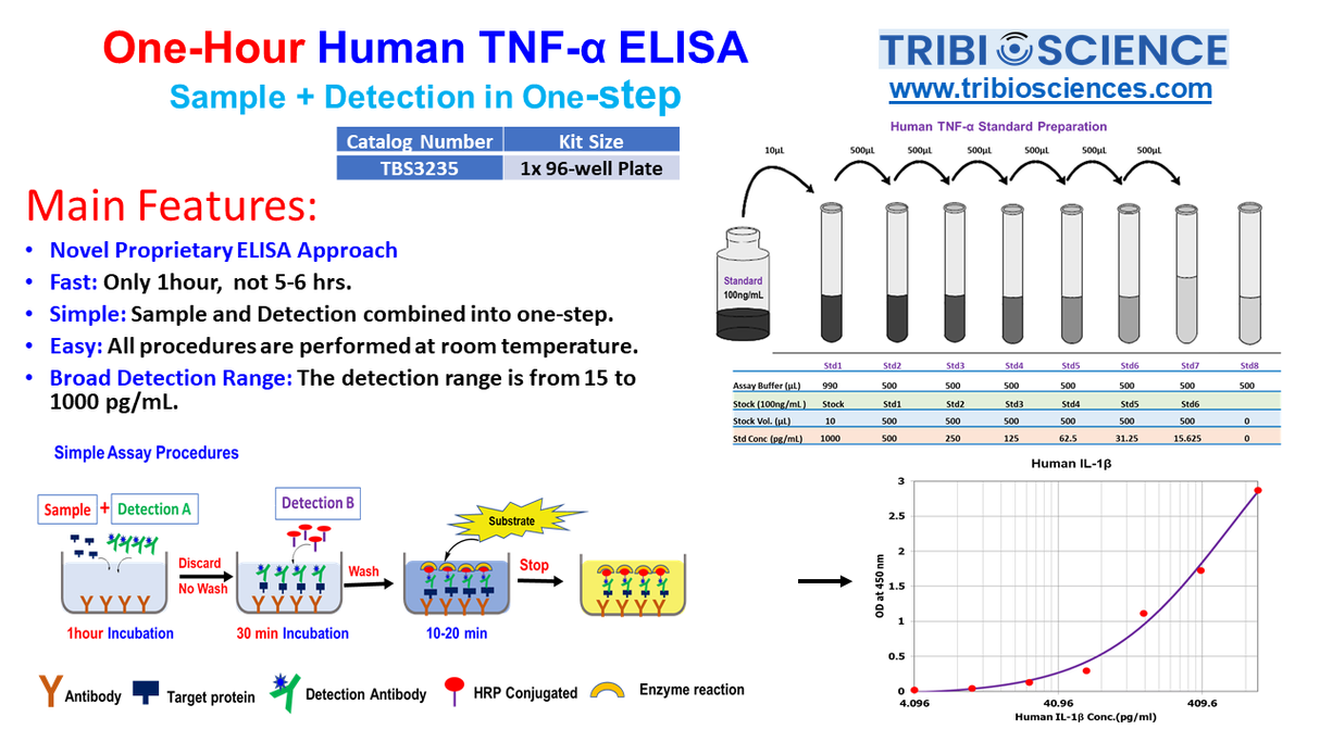 Human TNFꭤ ELISA kit; 1 step and 1hr