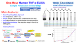 Human TNFꭤ ELISA kit; 1 step and 1hr
