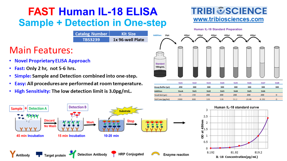 Fast Human IL-18 ELISA kit
