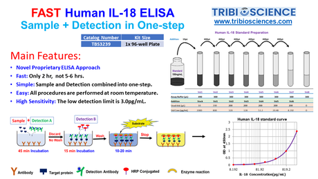 Fast Human IL-18 ELISA kit