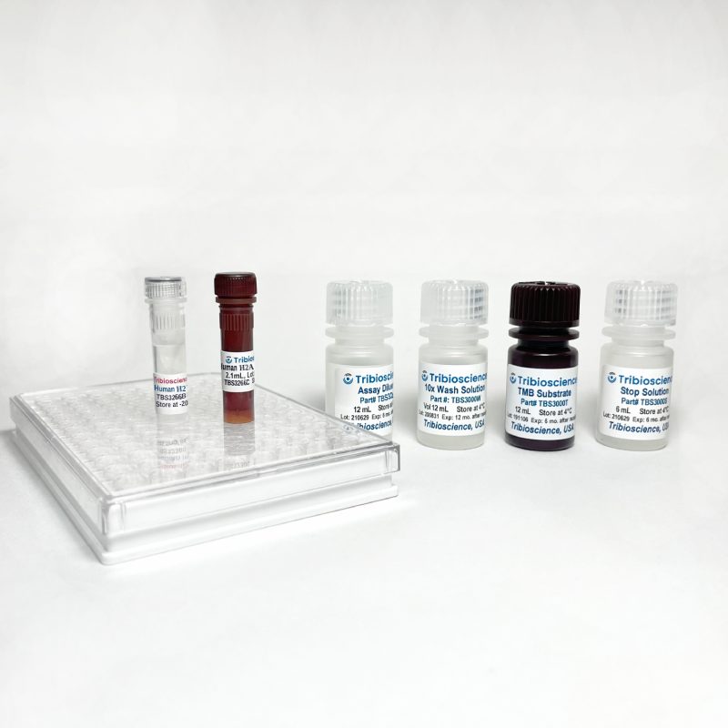 Human Total-H2AX Fast ELISA
