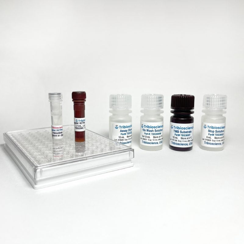 Fast Adrenocorticotropic Hormone / ACTH ELISA, 1step and 1hr (TBS3290)