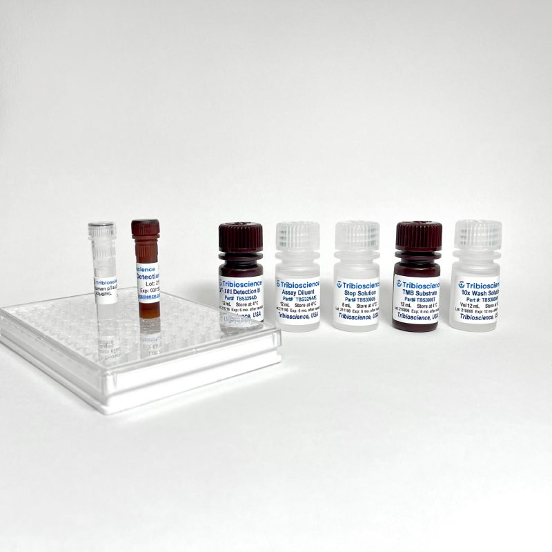 Fast Human Phospho Tau Thr181 (p-T181) ELISA (TBS3294)