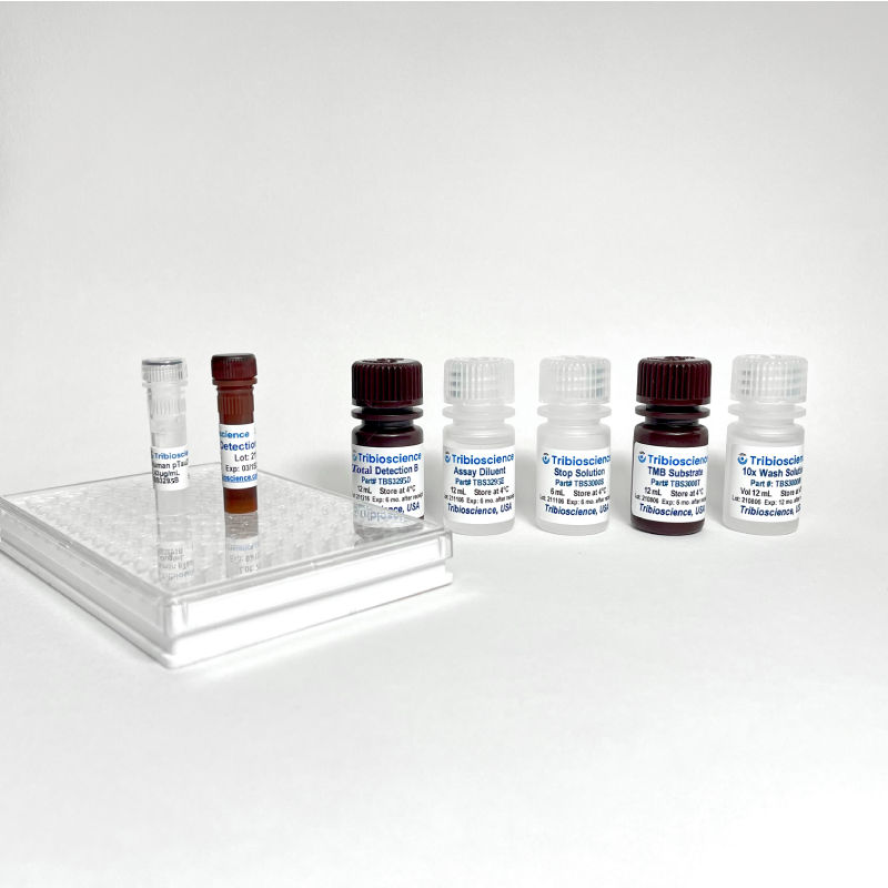 Fast Human MAPT/Tau (total) ELISA (TBS3295)