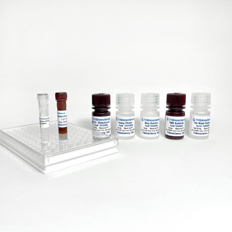 Fast Human Amyloid Beta 42 / Aβ42 ELISA (TBS3299)