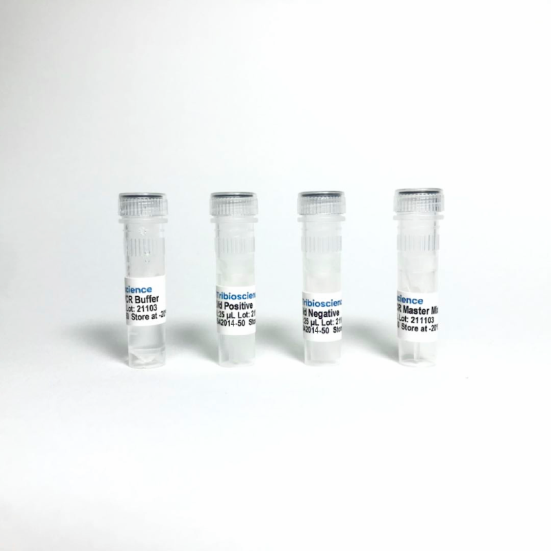 Arabis Mosaic Virus (ArMV) RT-qPCR Detection System (TBS42014)