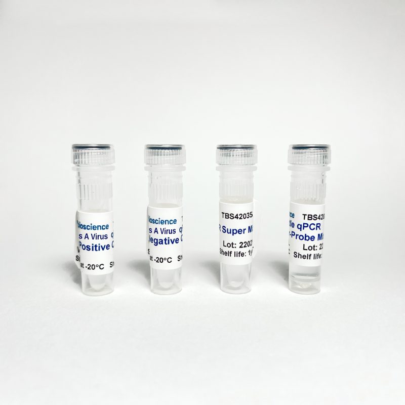 Hepatitis A Virus (HAV) One-step RT-qPCR Detection (TBS42035)
