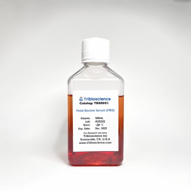 Tribo™ Fetal Bovine Serum (FBS)