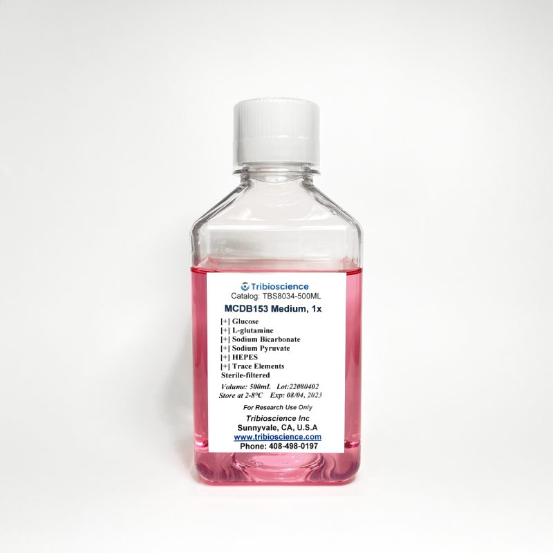 MCDB 153 Medium with Trace Elements, L-Glutamine, and Sodium Pyruvate (TBS8034)