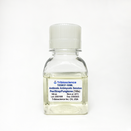 Antibiotic Antimycotic (Pen/Strep/Fungizone) Solution (100x) (TBS8037)