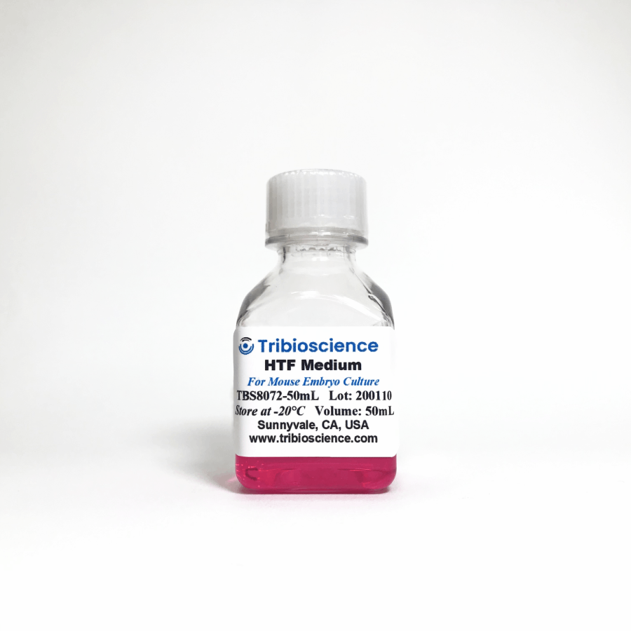 Human Tubal Fluid (HTF) Mouse Embryo Medium (TBS8072)