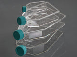 NEST Cell Culture Flask, Plug Seal Cap, TC, sterile (25-225 cm2)