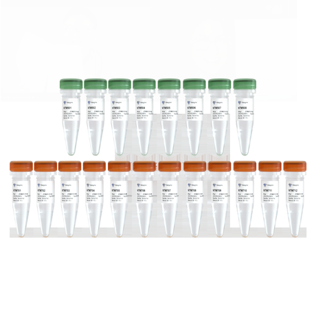 TruePrep Dual Index Kit V1 for MGI TDM201