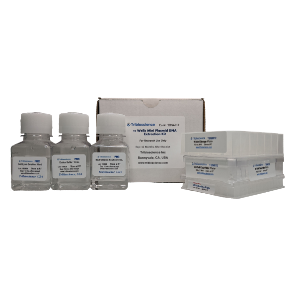 96-Well Plate Plasmid DNA Prep (Mini)
