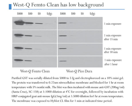 West-Q Femto Clean ECL Solution 100ml