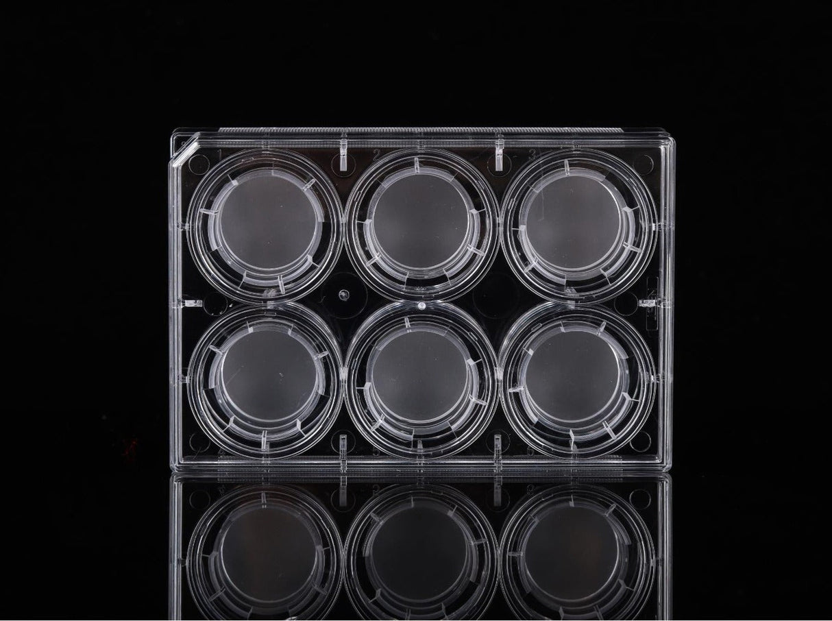 NEST 6 Cell Culture Inserts+6 Well Plate, PET Membrane, TC, Sterile, 6/pk, 60/cs