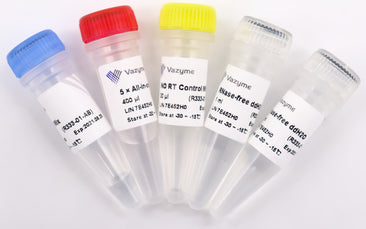HiScript III All-in-one RT SuperMix Perfect for qPCR R333