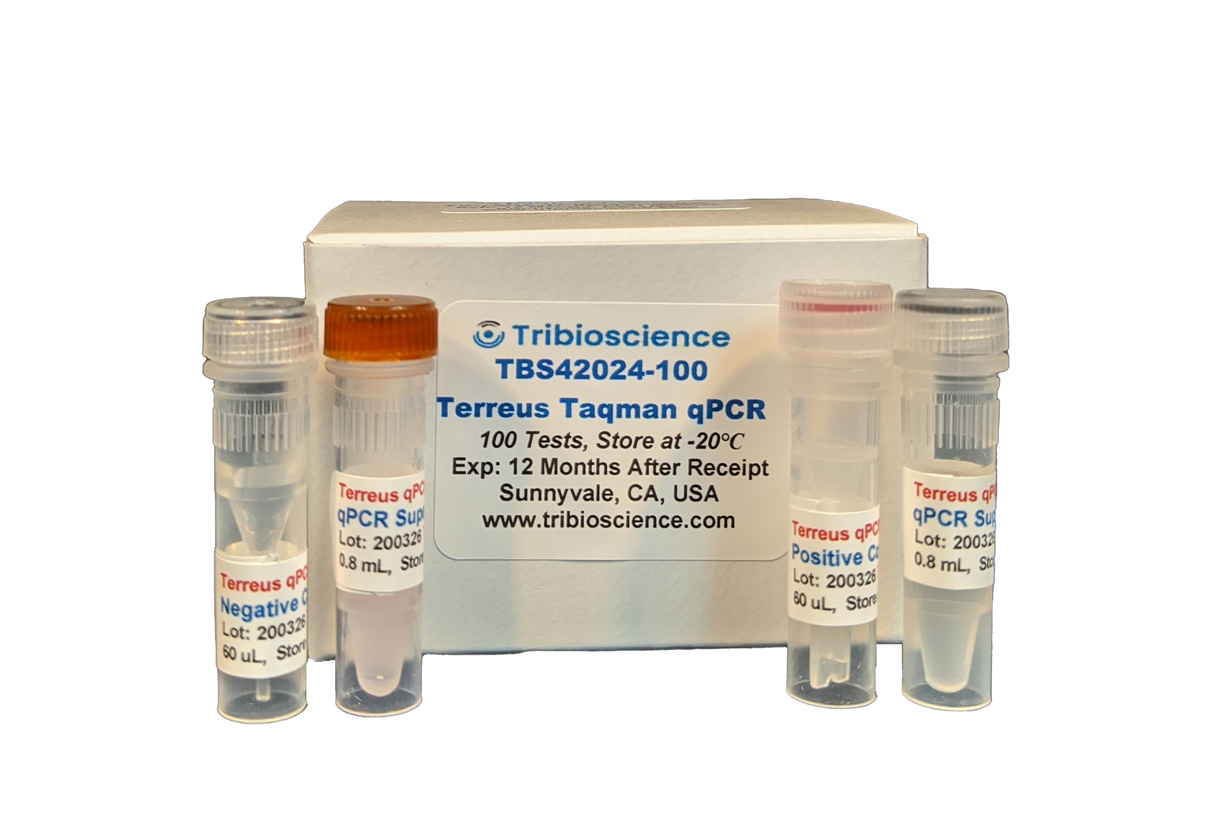 Aspergillus Terreus TaqMan PCR Detection (TBS42024)