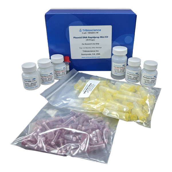Plasmid DNA Rapidprep Mini Kit